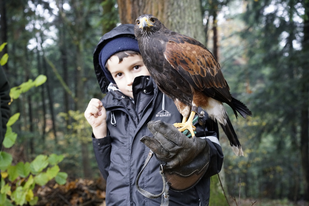 Swiatopełk Smoczyński trzyma na ręku ptaka drapieżnego podczas prac grupy filmu przyrodniczego na Plenerach Film Spring Open